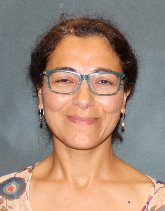 Silvia A. Torezani