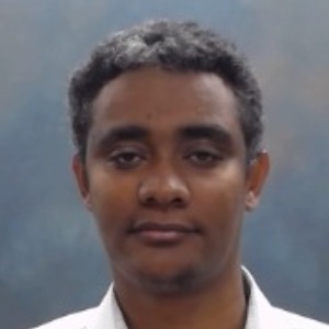 Tadesse M. Abegaz